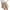 Khaki, variant on Utoimkio Clearance Women's Sweat Shorts Comfy Lounge Running Shorts Gym Summer Casual Elastic High Waisted Cotton Linen Athletic Shorts with Pockets