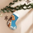 thumbnail image 7 of Daiia Blue Sky Cloud Puppy Print Christmas Stocking，18"Large Knitted Xmas Stocking for Kids, Family Stocking for Fireplace Christmas Holiday Party Decoration, 7 of 7