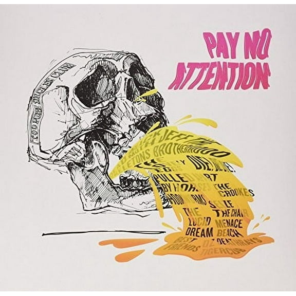 Pay No Attention / Various - Vinyl