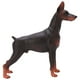 thumbnail image 1 of Figurita de perro figura de perro animal simulación sensorial regalo cognición juguete muy detallado para decoración para mayores de 3 años para colección ANGGREK Otros, 1 of 8