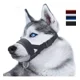 thumbnail image 1 of Bozales De Nailon Con Lazo Ajustable Para Perro, 1 of 6