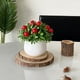 thumbnail image 3 of Artificial Plant Pot, Small Potted Decoration, Living Room Countertops Windowsills, Desktop Greenery, Home Decor, Artificial Plants for Home, Realistic Touch, Stylized Design, High Traffic Plants,, 3 of 8