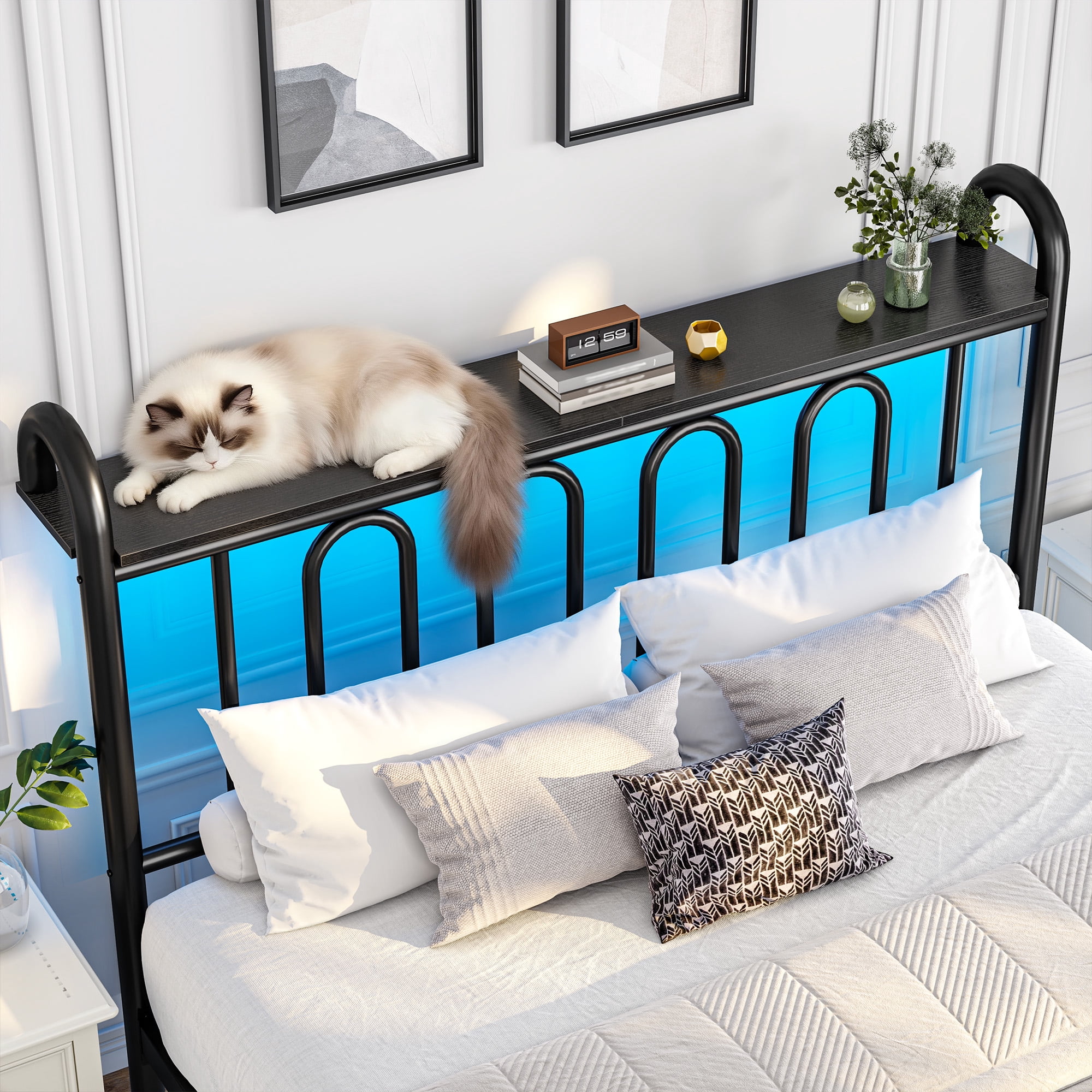 EnHomee Queen Size Metal Platform Bed Frame with Headboard Metal Bed Frame with LED Lights Queen Bed Frame with Underbed Storage,Black