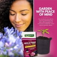thumbnail image 4 of Schultz 4 OZ 8-14-9 African Violet Plus Liquid Plant Food Excellen, 4 of 5