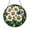 Acrylic 3.5 Inch, variant on Pressed Daisy Flower Glass Frame – Botanical Wall Decor Art