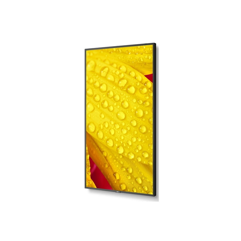 Nec M431-2 Multisync M431-2 43