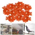 thumbnail image 3 of 100x Reusable Birds Foot Bands Leg Rings Racing Tags Numbered Training Identify Tool for Small Poultry, , Finch, Parrots , Orange, 3 of 8