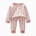thumbnail image 6 of NOLDARES Fall Outfit Toddler Baby Boy 2Pcs Long Sleeve Cute Print Graphic Crewneck T-Shirt Thick Jogger Pants Round Neck Soft Clothes Set Size:3-4 Y,Light Purple, 6 of 6