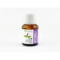 thumbnail image 1 of ACEITE ESCENCIAL DE PATCHOULI, 100% ORGÁNICO Natshop ACEITE ESCENCIAL DE PATCHOULI, 100% ORGÁNICO, 1 of 3