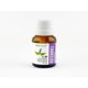 thumbnail image 1 of ACEITE ESCENCIAL DE PATCHOULI, 100% ORGÁNICO Natshop ACEITE ESCENCIAL DE PATCHOULI, 100% ORGÁNICO, 1 of 3