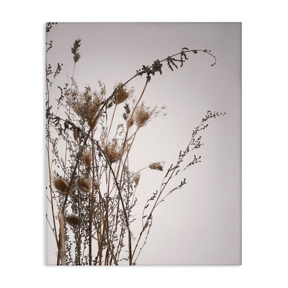 Stupell Industries Eclectic Autumn Thistles in the Sky Neutral Brown Beige Canvas Art, 16 x 20, by Design Fabrikken