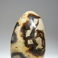 thumbnail image 4 of Polished Septarian Freeform from Madagascar (1.85 lbs), 4 of 5