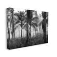 thumbnail image 3 of Stupell Industries Dense Tropical Palm Tree Forest Photograph Gallery Wrapped Canvas Print Wall Art, Design by Kim Allen, 3 of 7
