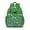 Green Crocodile Rainbow, variant on Green Dinosaurs Bones Pattern Backpack for School,Cute School Bag,Schoolbag with Adjustable Shoulder Straps & Padded Back,15.25"x11.5"x5.25"