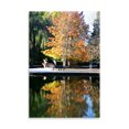 thumbnail image 2 of Gango Home Decor Fall Colors by Tammy Putman (Printed on Paper); One 24x36in Fine Art Paper Giclee Print, 2 of 4