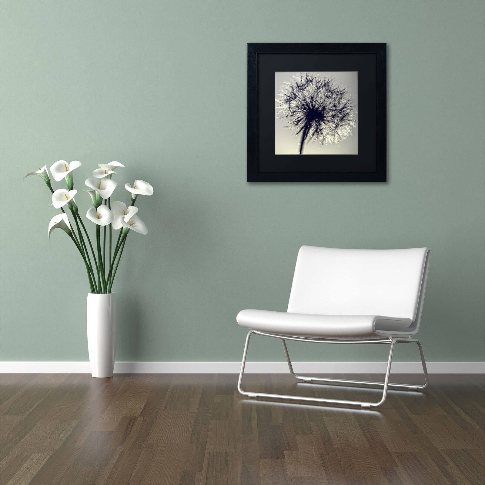 Trademark Fine Art "Morning Sparkles" Canvas Art by Beata Czyzowska Young, Black Matte, Black Frame