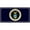 Blue, variant on Space Force Logo Blue Photo License Plate
