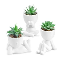 3 pack Artificial Succulents
