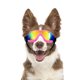 thumbnail image 1 of Gafas para Perro Billionchains con Protección Anti-UV Rosa, 1 of 5