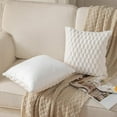 thumbnail image 5 of Decorative Throw Pillow for Sofa Bed Chair, Sculpted Texture Accent Cushion Series for Modern Cozy Home Styling,2-Pack, 5 of 11