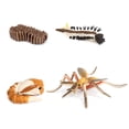 thumbnail image 1 of Bewildely 1 Juego de modelo de gusano de pala, Material plástico Premium, figuritas de insectos significativas, modelos de crecimiento educativo temprano Juguetes Educativos mosquito tipo 2 NO7 Bewildely FN010083-06, 1 of 1
