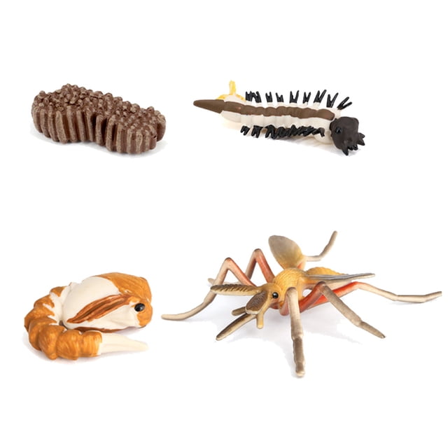 Bewildely 1 Juego de modelo de gusano de pala, Material plástico Premium, figuritas de insectos significativas, modelos de crecimiento educativo temprano Juguetes Educativos mosquito tipo 2 NO7 Bewildely FN010083-06