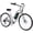 GRAY, variant on 1000W Electric Bike for Age 13+, 48V 16Ah Removable Battery, 16x4" Fat Tire, 28MPH & 60 Miles Range, Full Suspension Mountain Bike for Teens UL2849