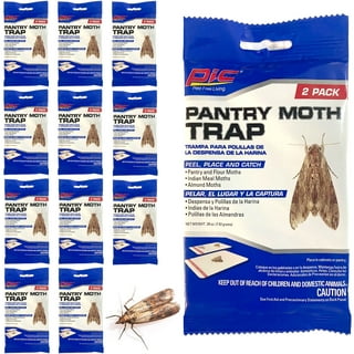  20 Pack Pantry Moth Traps - Safe and Effective for Food and  Cupboard - Glue Traps with Pheromones for Pantry Moths - Trap a Pest :  Patio, Lawn & Garden