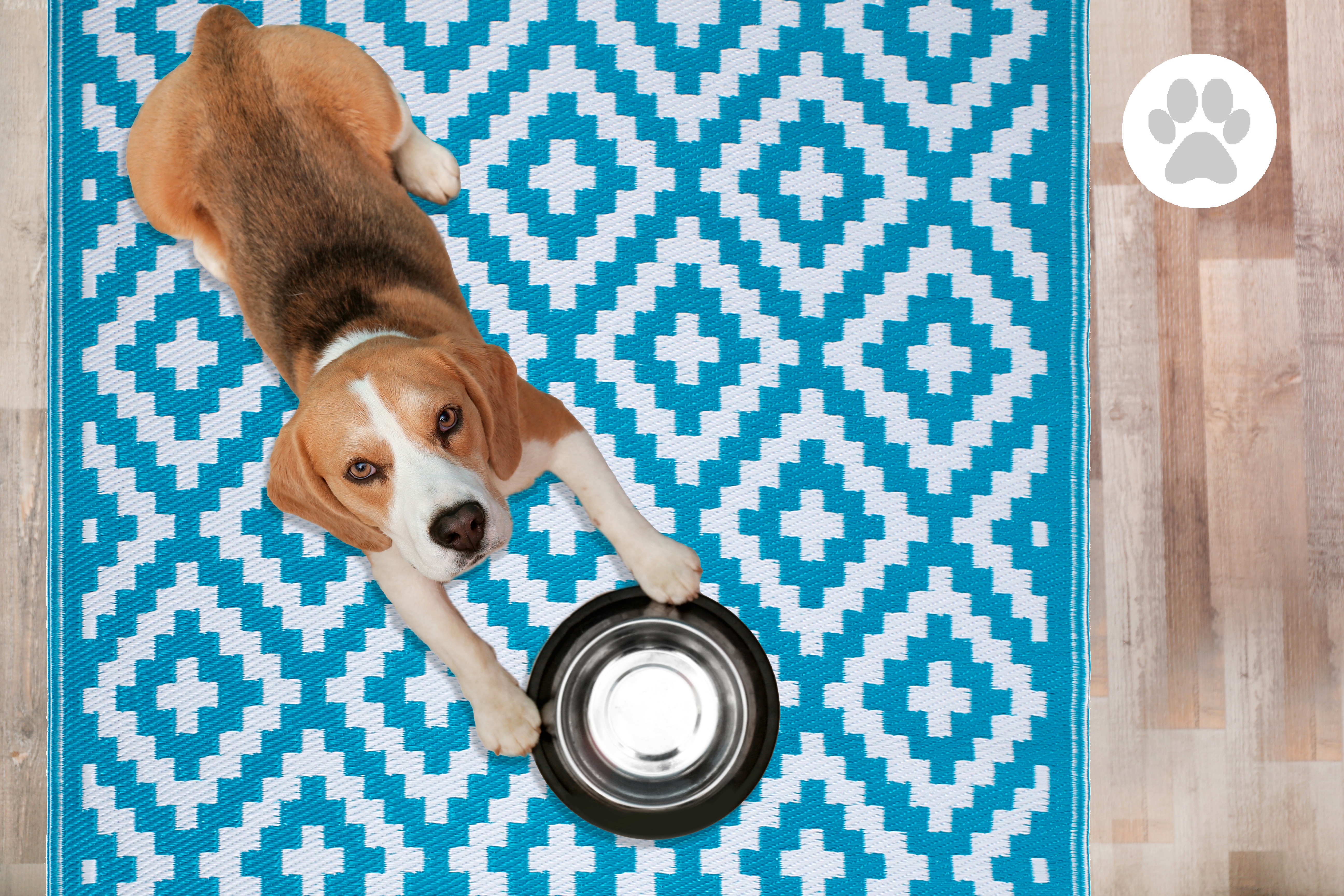 FH Home Outdoor Rug - Waterproof, Fade Resistant, Reversible - Premium Recycled Plastic - Geometric - Large Patio, Deck, Sunroom, RV, Camping - Aztec - Teal & White - 9 x 12 ft Foldable