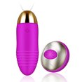 thumbnail image 1 of Impermeable 10 Velocidades Silicona USB Recargable Anal Vibrador Control Remoto Inalámbrico Vibrador Huevos para Mujer Sincero Hogar, 1 of 6