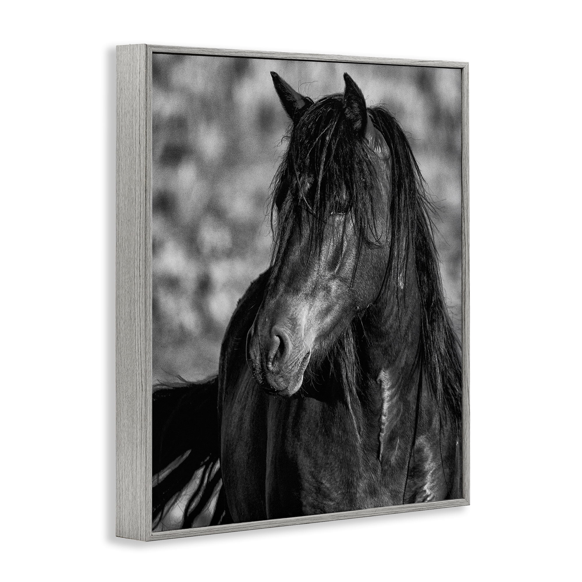 Stupell Industries Beauty In Black Gray Framed Giclee Art, design by Tim West