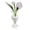 D, variant on Dserhfy Mini Glass Flower Figurine Hand Blown Small Faux Crystal Carnation/Lily/Peony Flower Bouquet in Vase for Mother's Day Birthday Valentines Table Centerpiece