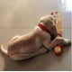 thumbnail image 5 of Juguetes para perros de pollo gritando, juguete de pollo chirriante de goma amarilla, novedad y pollo de goma duradero para perros, valor de pollos de goma, paquete de 3 MFZFUKR CQ591-2, 5 of 6