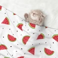 thumbnail image 2 of Rocae Hand Drawn Watermelon for Pet Blanket Dog Blanket Cat Blanket Soft Sleep for Small Medium Pet-Large, 2 of 8