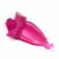 03 Time To Pitaya