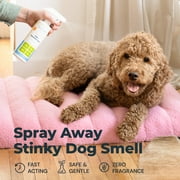 Oxyfresh Extra Strength Pet Odor Eliminator Spray, No Fragrance & No Harsh Chemicals, Goodbye Stinky Odors, Cat & Dog Deodorizer Works on Contact, Home Upholstery & Auto, Vets & Owners Love It
