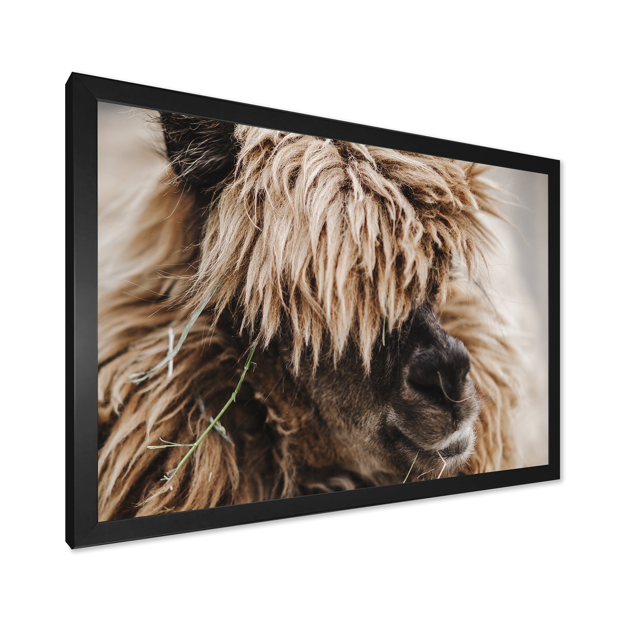 Designart 'Close Up Of Fluffy Curly Alpaca' Farmhouse Framed Art Print