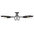 thumbnail image 1 of Golden Lighting 1040-6SF BLK Newton 6 Light Semi-Flush Light, Matte Black, 1 of 1