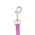 thumbnail image 3 of Vibrant Life Solid Nylon Dog Leash, Purple, Small, 5', 3 of 6