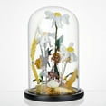 thumbnail image 4 of Glass Display Cloche Dome Decorative Glass Dome Cover Clear Bell Jar Display Case with Black Wood Base for Collectibles Rose Office Home Tabletop Centerpiece Decor 5.91×10.04 Inch DIY, 4 of 6