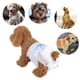 thumbnail image 5 of Ficarrico 10 Uds. Pañales de papel para perros y gatos, bragas cortas higiénicas sanitarias, pantalones fisiológicosXL, 5 of 8