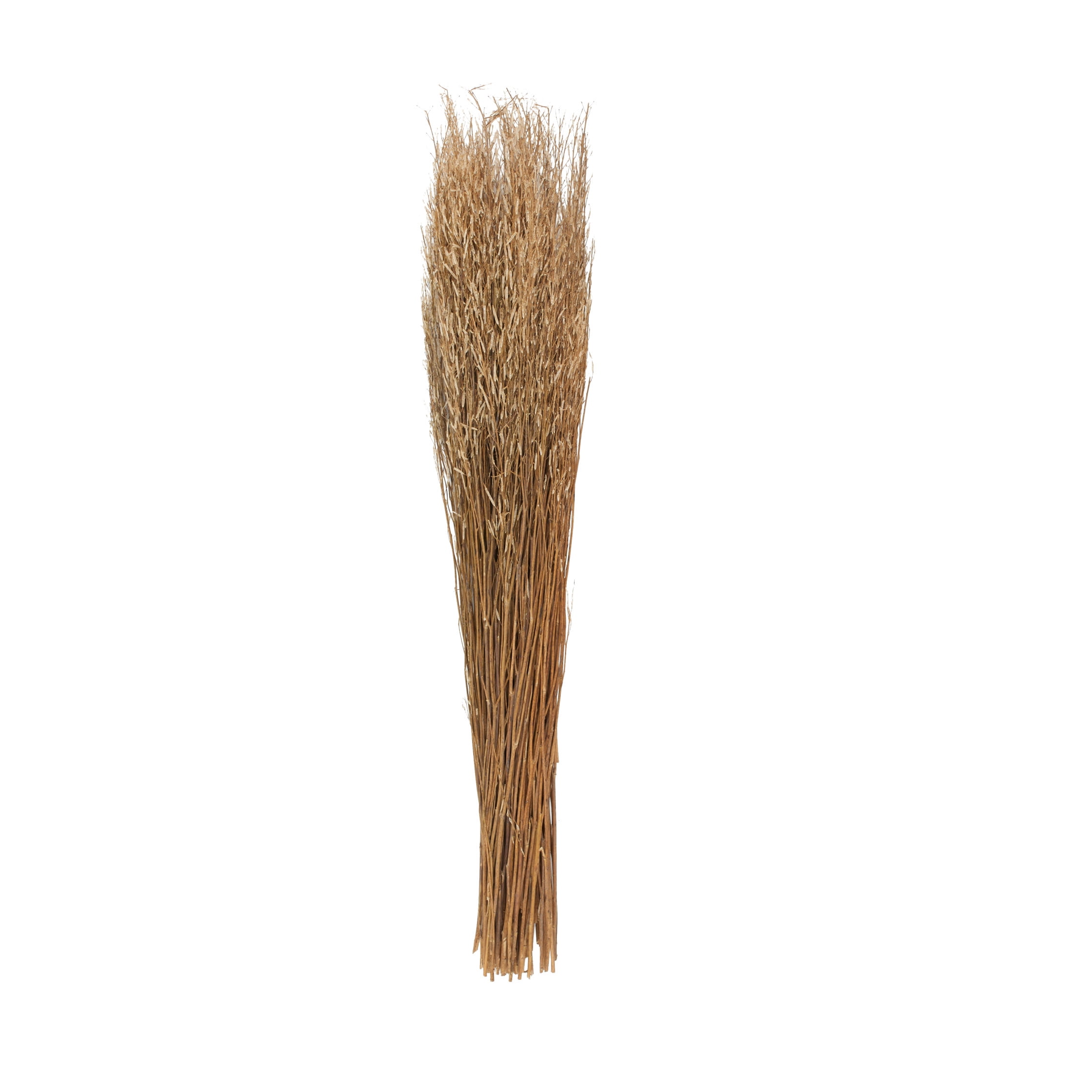 42" Tall Sticks Dried Plant Natural Foliage Bouquet with Grass, by DecMode