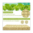 thumbnail image 4 of 50 Uds. Cubos de de Cultivo HidropóNico de Lana de , Cubos de Plantas, Sin Suelo, Bloque de PláNtulas de Lana de Sembrada, 4 of 8