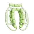 thumbnail image 4 of koolsoo Rouleau de Massage Équipement de Musculation Pince Circulaire pour Coudes Jambes Mollets Vert, 4 of 9
