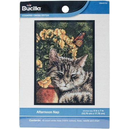 Bucilla Counted Cross Stitch Mini Picture Kit by Plaid, Afternoon Nap, 5" x 7"