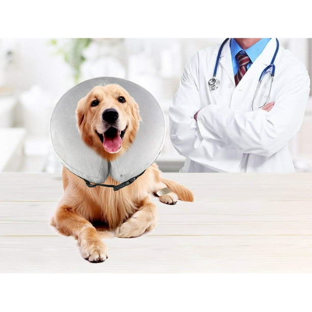 Dog cone top walmart canada
