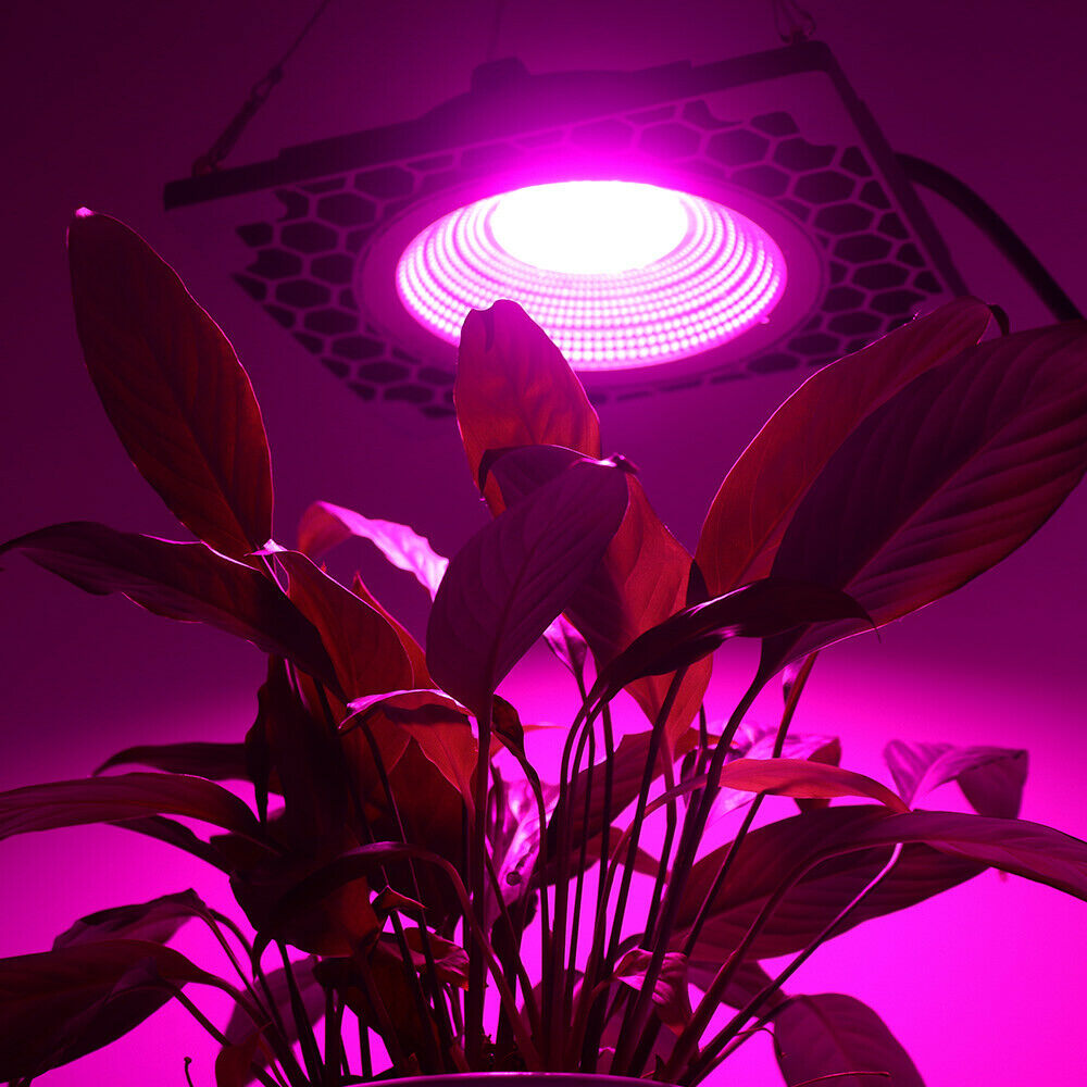 00W LED Grow Light Full Spectrum for Indoor Outdoor Plants ...