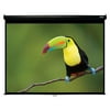 Hamilton Electronics WS-W7296-BLK 120 in. Manual Pull Down Projector Screen