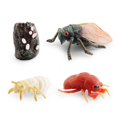 thumbnail image 1 of Alician Simulation Animal Life Growth Cycle Model Toys Kindergarten Teaching Aids Model Educational Toys For Children, 1 of 7