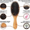 thumbnail image 3 of Natural Bristle Hair Brush for Women and Men, Detangling Hairbrush, Styling Tool, 3 of 5
